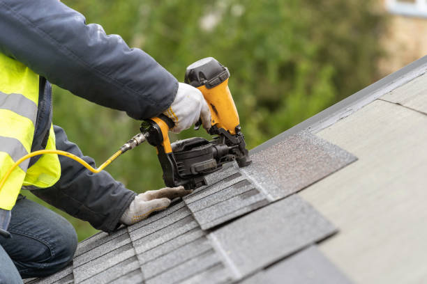 Best Roof Moss and Algae Removal  in New Plymouth, ID